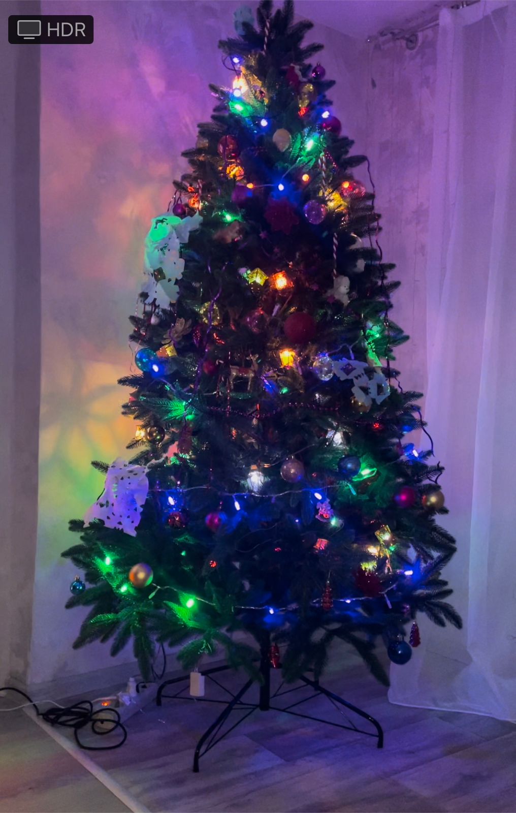 WhatsApp Image 2024 12 27 at 10.10.39