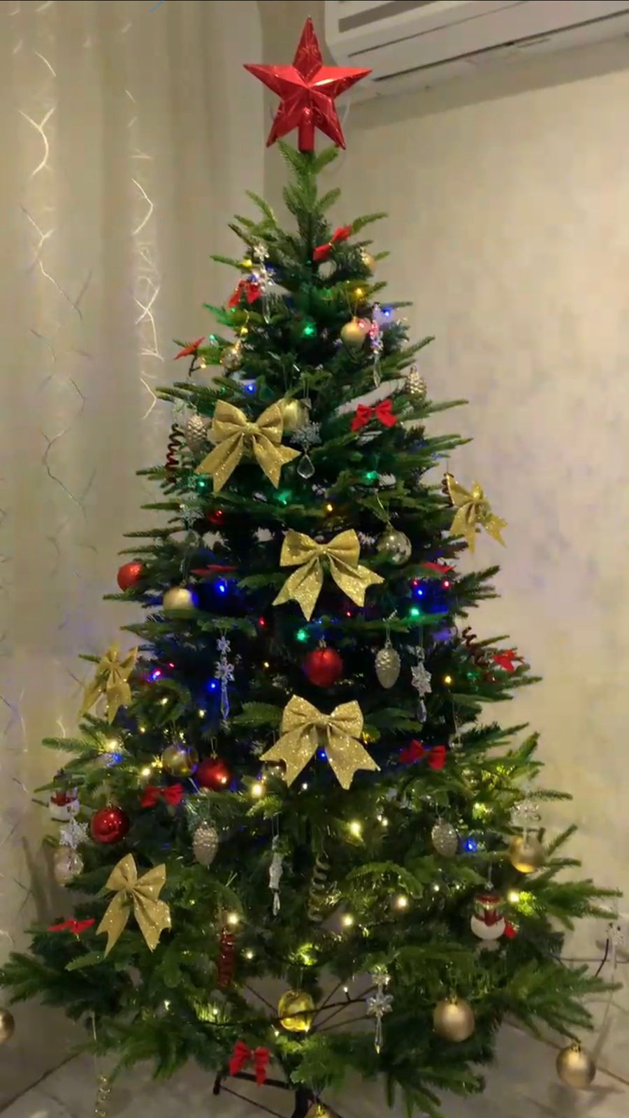 WhatsApp Image 2024 12 27 at 10.11.00