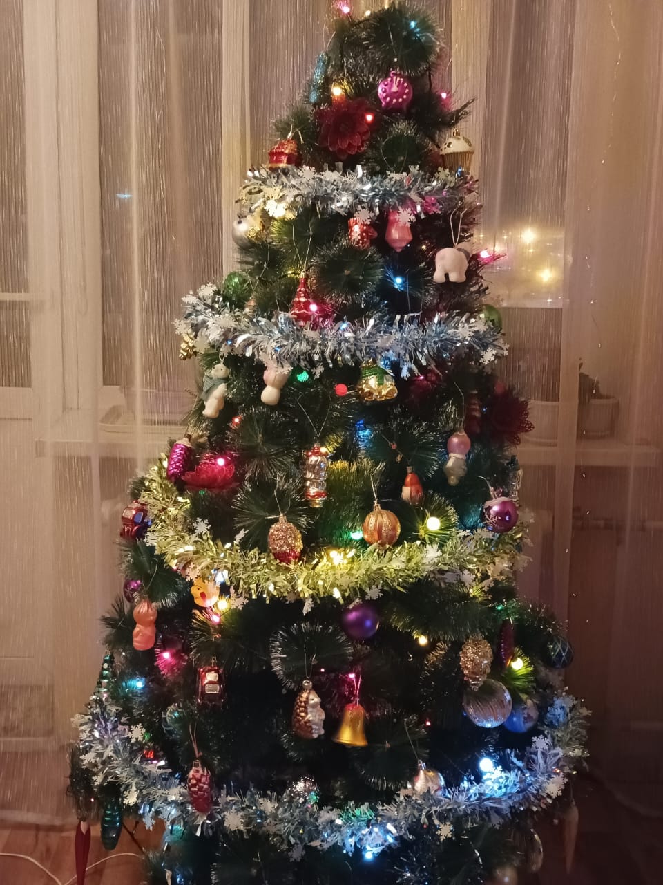 WhatsApp Image 2024 12 27 at 11.00.52