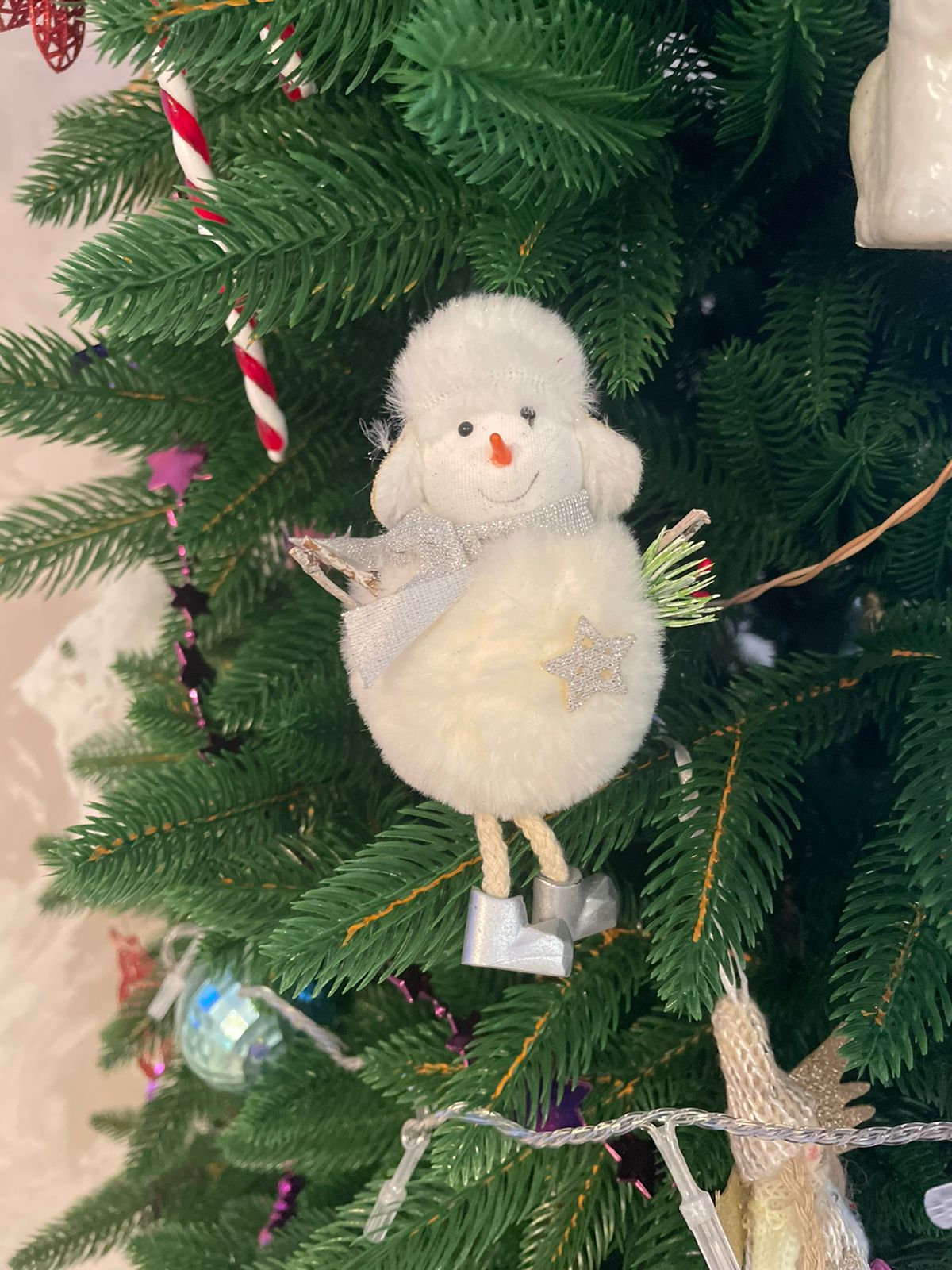 WhatsApp Image 2025 01 03 at 10.15.40