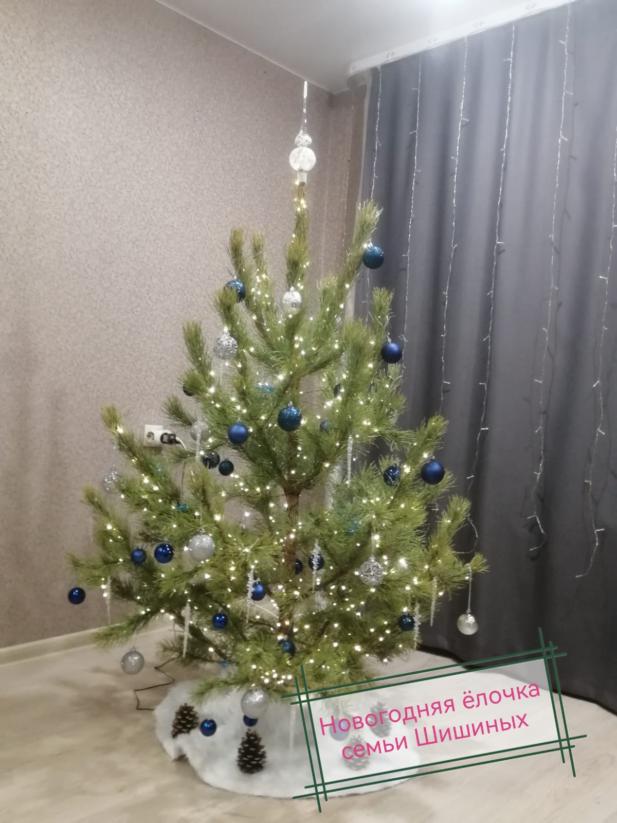 WhatsApp Image 2025 01 03 at 11.13.03